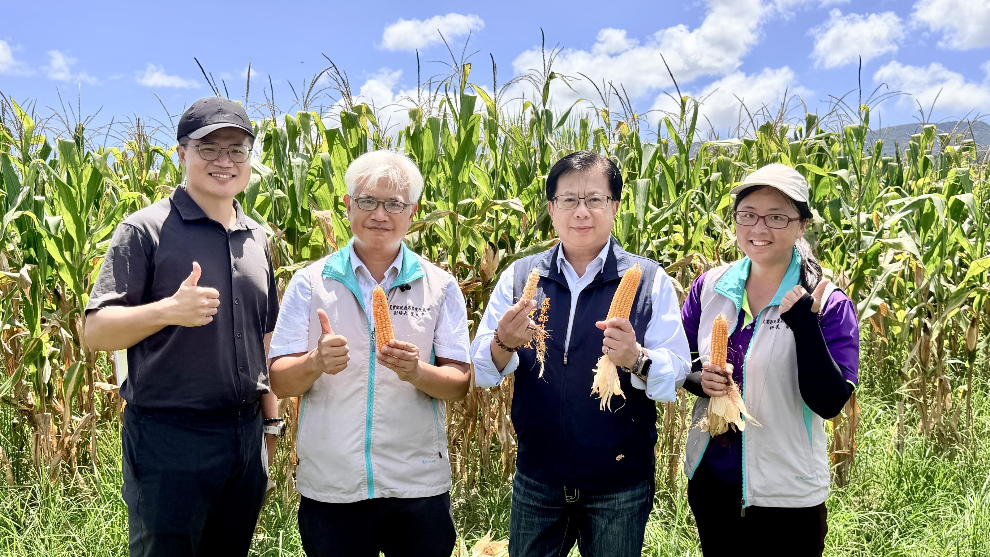 圖10. 建立災後復耕試驗示範田，透過實地試作找出適合受災農地的生產模式。